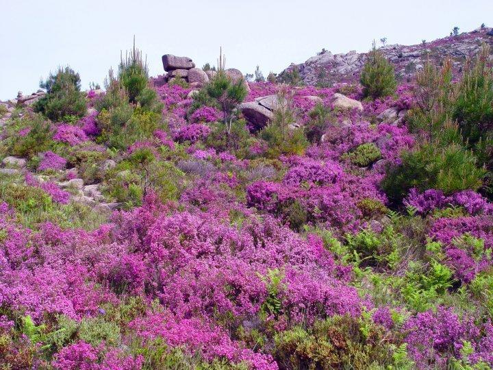 PR As Termas Hotel Bubaces Bagian luar foto